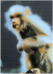Embroidery Monkey (D-104)