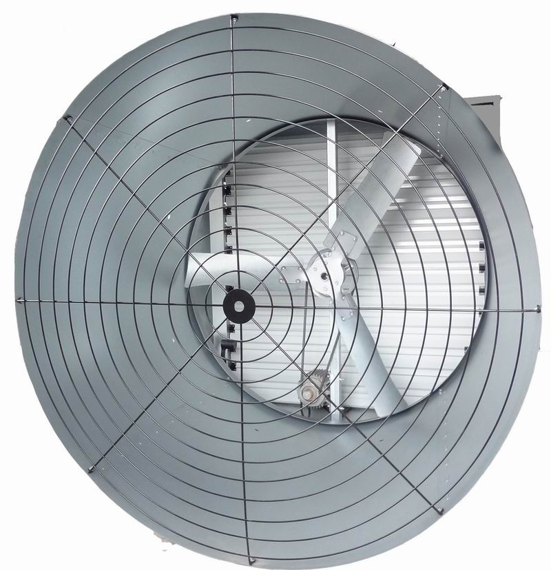 Three Blades Cone Fan