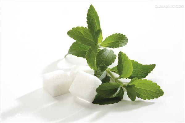 Nutraceutical Supplements Stevia Leaf Extract P. E.