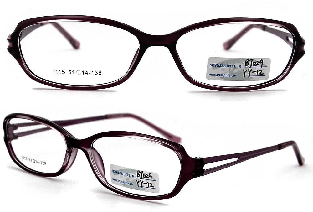 2012 New Models of Glasses Frames Spectacles Frame Famous Brands Glasses Frame Tr90 Optical Eyewear (BJ12-029)
