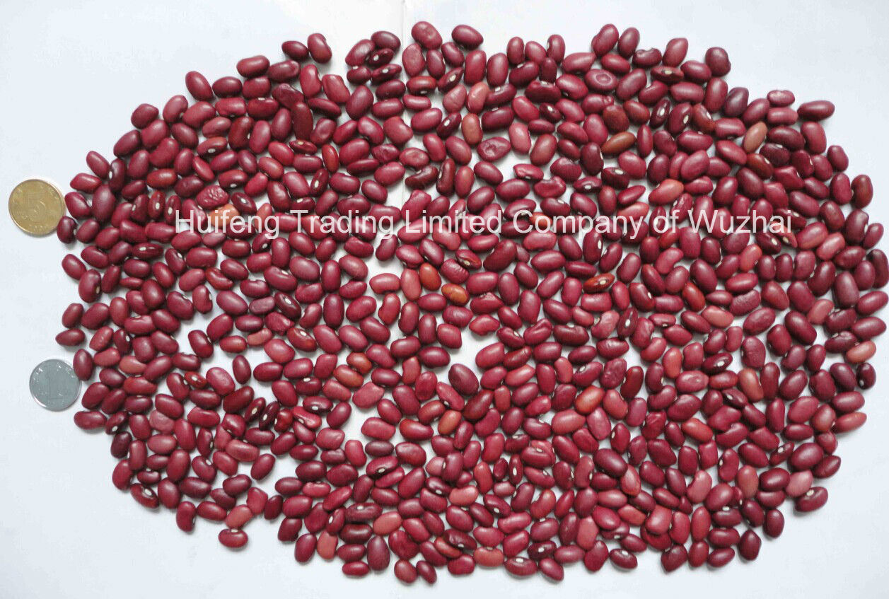 Good Small Red Kidney Beans