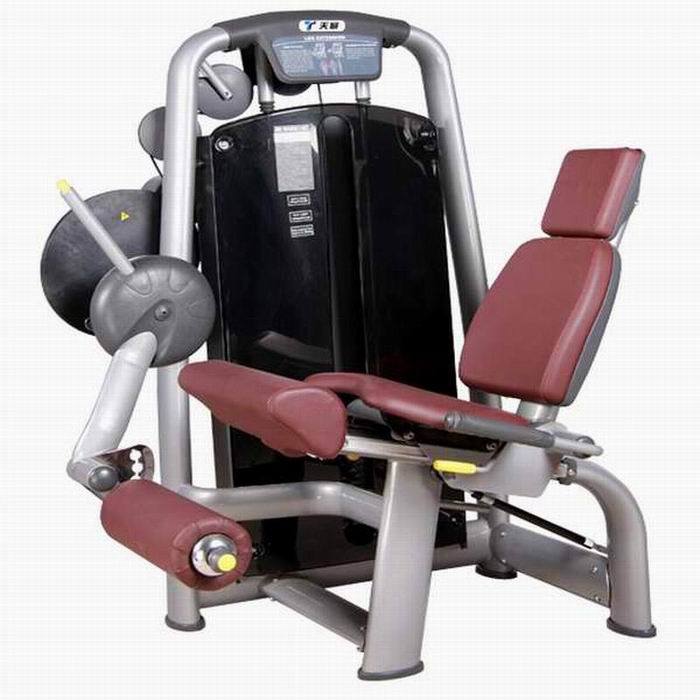 Seated Leg Extension Fitness Equipment (TZ-6002)