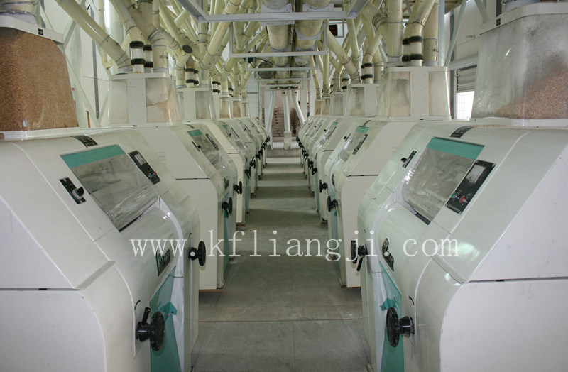 5-500t/24h Wheat Flour Mill with Competitive Price (FMFQ)