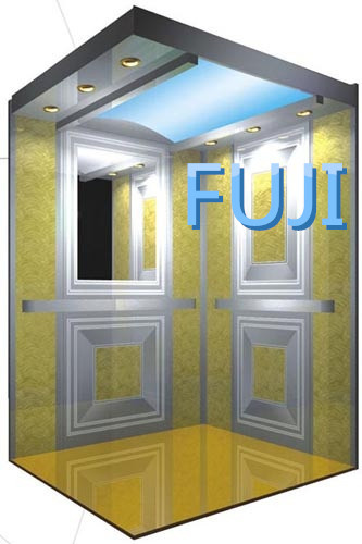 Passenger Elevator / Lift with Mirror