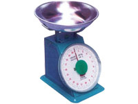 Spring Scale