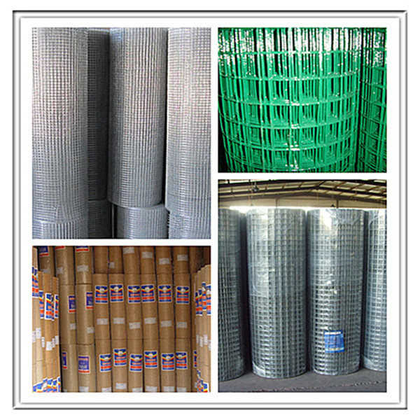 Welded Wire Mesh