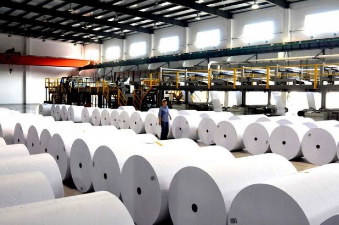 100% Woodfree Offset Printing Paper in Roll or in Reel