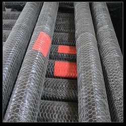 Electro Galvanized Wire Hexagonal Wire Netting