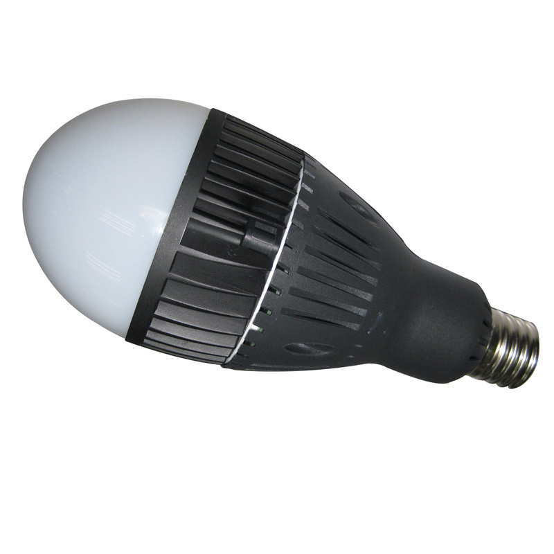 6000k LED Globe Light Bulb (Hz-QPD80WH)