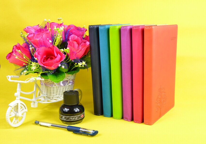 2015 Fashion Paper Notebook, High Quality School Notebook, Custom Notebook