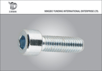 China Manufacturer Good Quality Hexagonal Socket Head Bolt