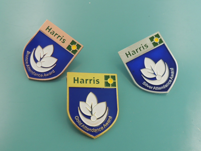 Metal Gold Silver and Bronze Attendance Badges for School (XD-B27)