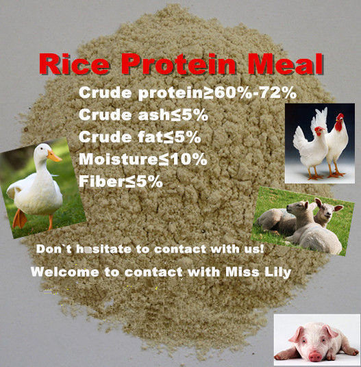 Feed Additives Rice Protein Meal