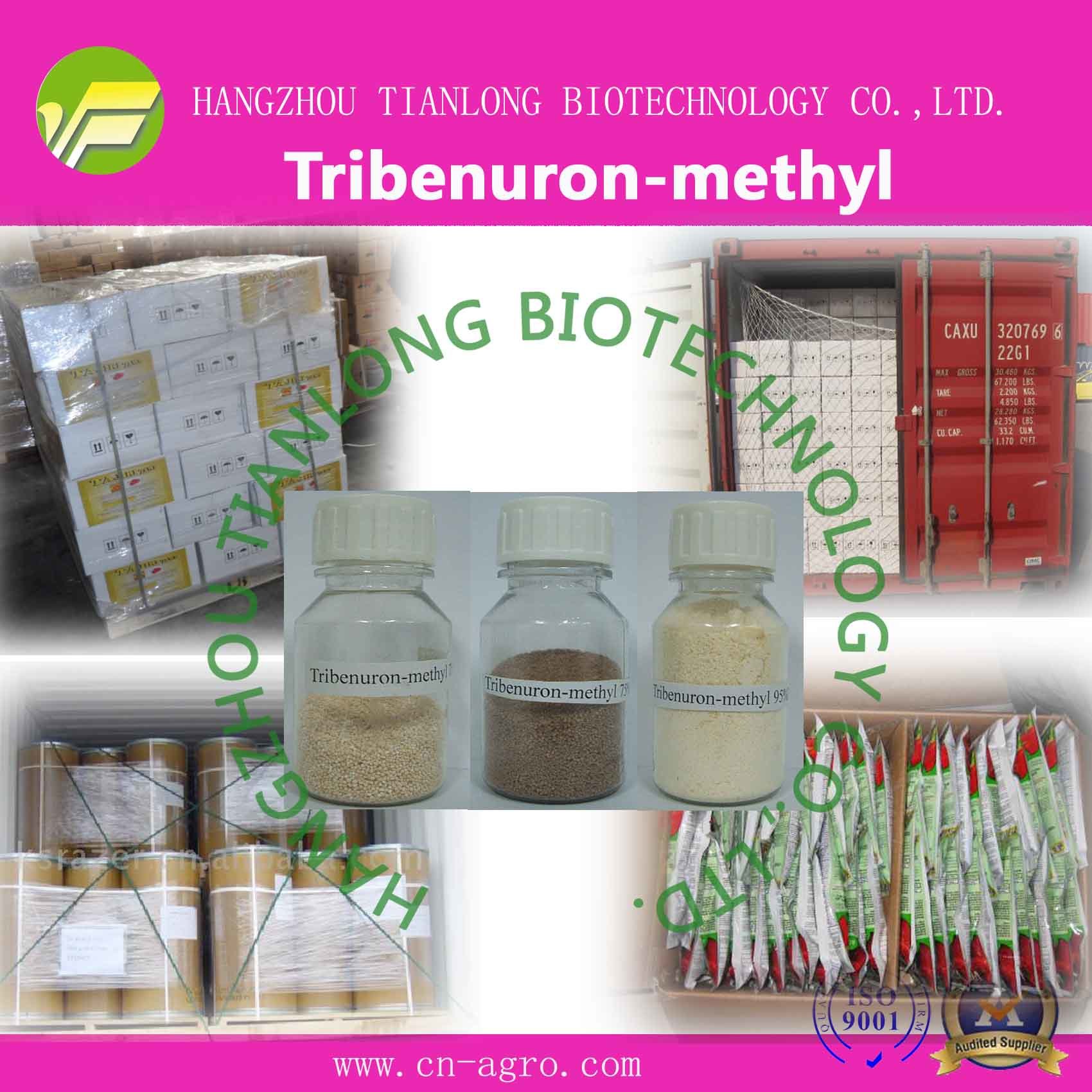 Tribenuron-Methyl (95%TC, 10%WP, 75%WP, 60%WG, 75%WG, 20%SP)