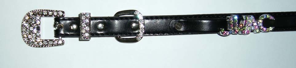 Rhinestone Buckle Dog Collar (C024)