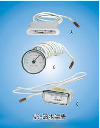 Water Meter