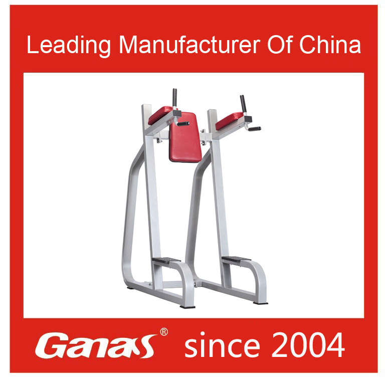 Ganas Vertical Knee Raise Gym Equipment Commercial (MT-6044)