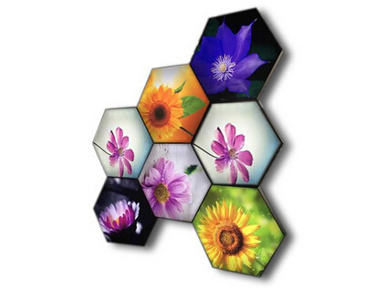 Customized Shape Lightbox Frame Exhibition Display Stand