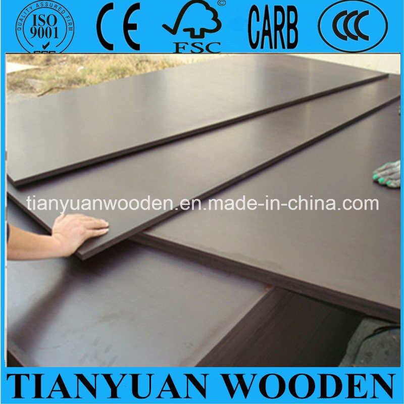 Exterior Plywood Sheets/Film Faced Shuttering Plywood 12mm