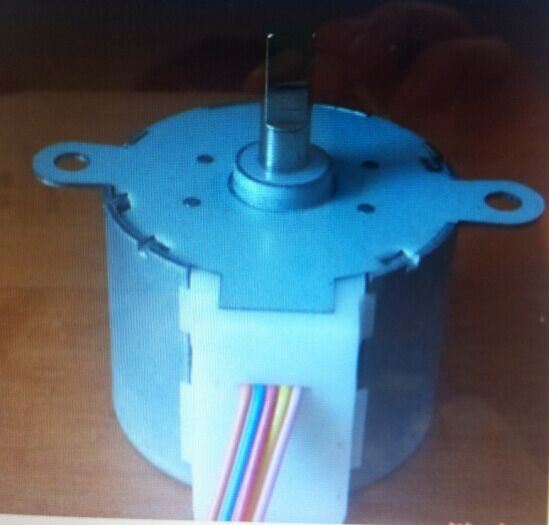 High Quality Permanent Magnetic Step Motor
