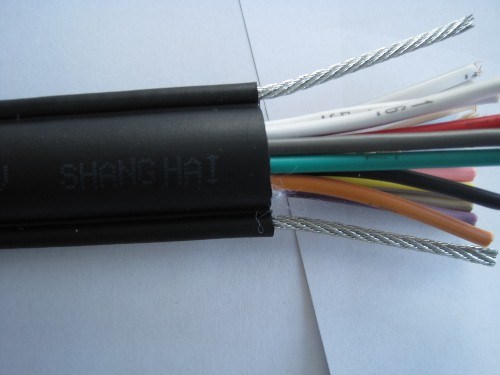 Pushbutton Cable (RVV2G)