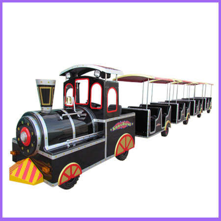 Fwulong Amusements Rides Electric Train for Sale