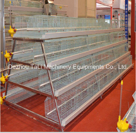 a Type 3 Tiers Layer Broiler Battery Layer Cage