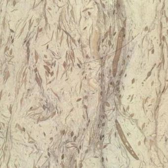 Rustic Beige A Marble