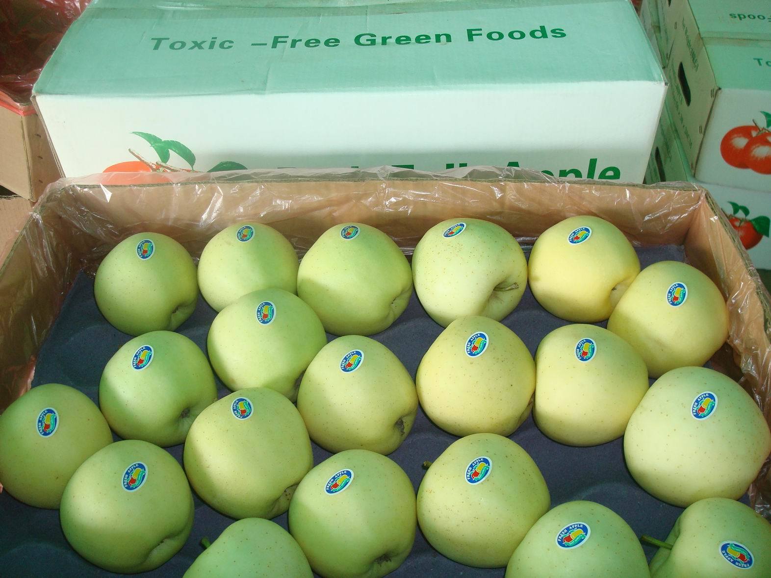 Fresh Chinese Exporting Standard Golden Apple