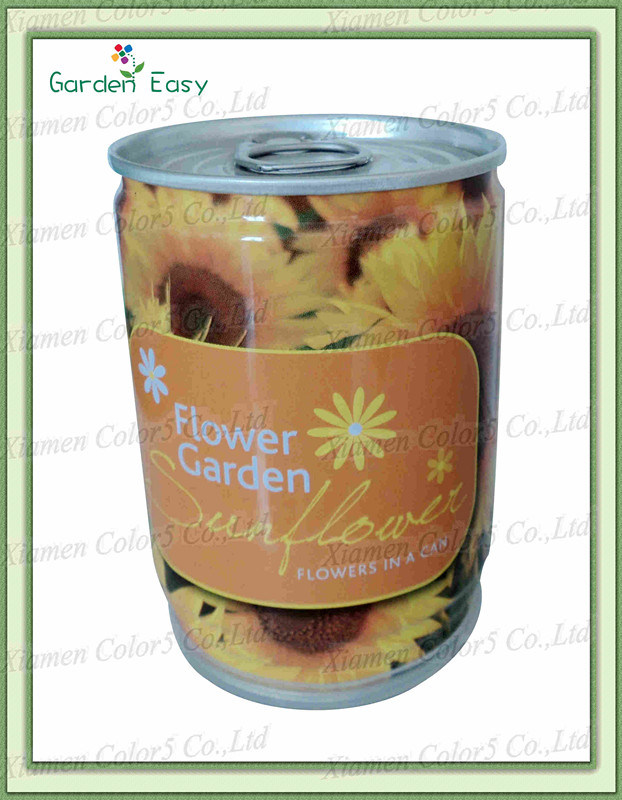 DIY Can Flower Products (903006)