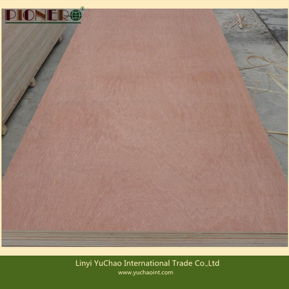 Hot Sales Commercial Plywood for Middle East and North Africa