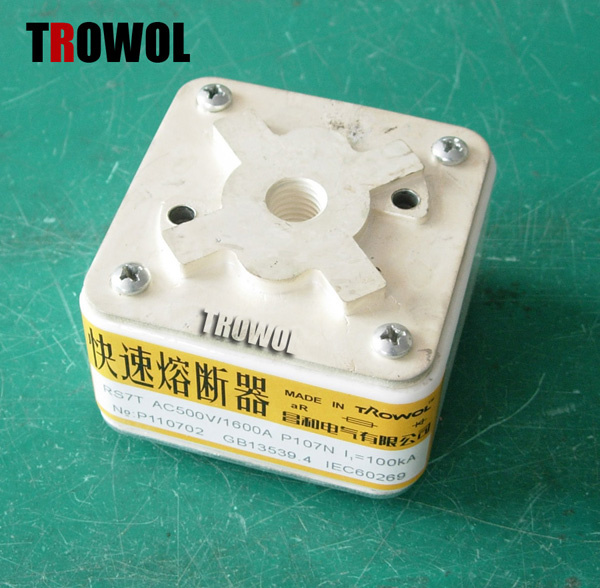 Semiconductor Fuse (RS8 P1m105S)