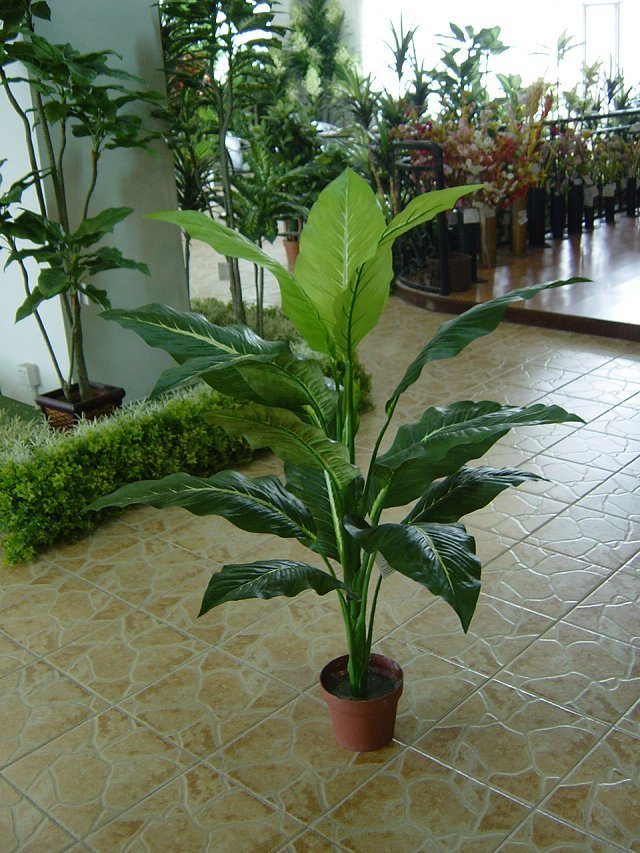 Artificial Plants and Flowers of Dieffenbachia 15lvs Gu-Bj-735D-15-1#