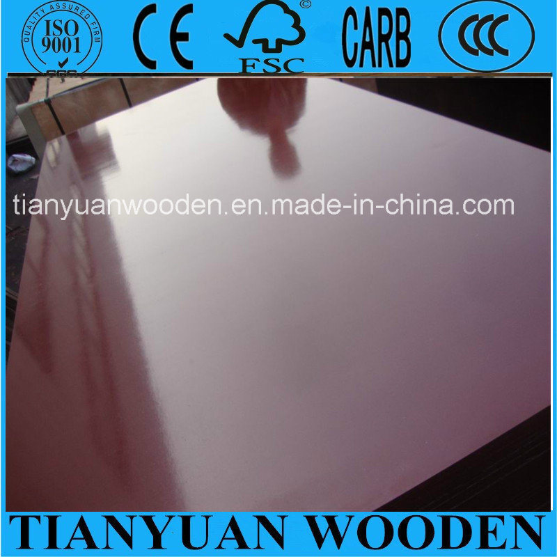 Waterproof Shuttering Plywood for Building Construction, Shandong, China