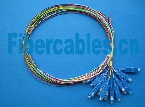 12 Fiber 900u Single Mode 9/125 Pigtail (12C9PT)