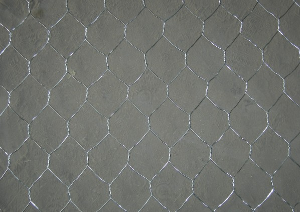 Hexagonal Wire Mesh