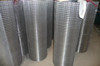 Welded Wire Mesh