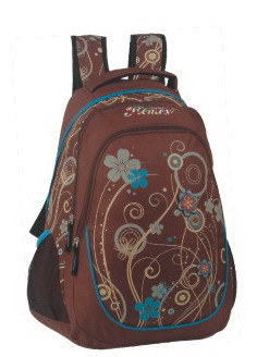 New Design Backpack (DU569)