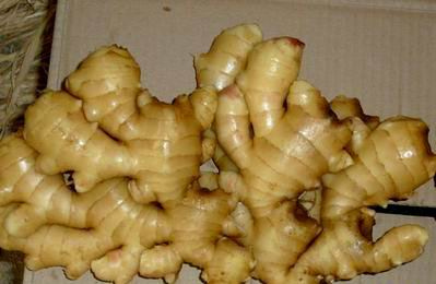 Fresh Ginger
