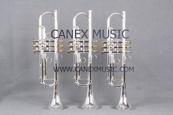 Bb Key  High Grade Trumpet TR-800S
