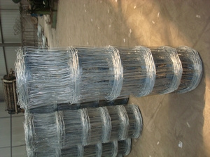 Galvanized Wire Mesh