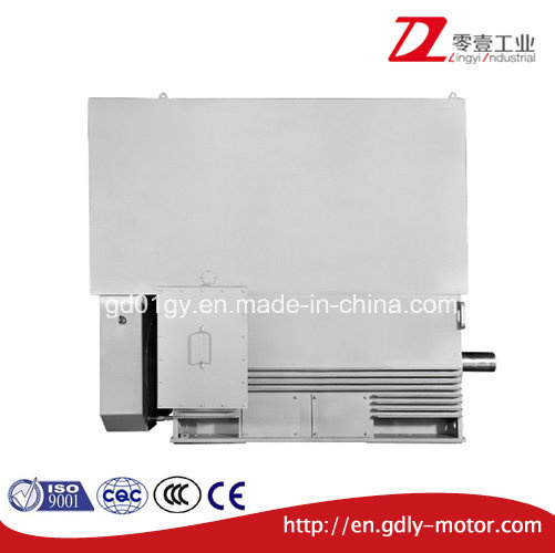 High Voltage Asynchronous Electric Motor, High Efficiency Motor