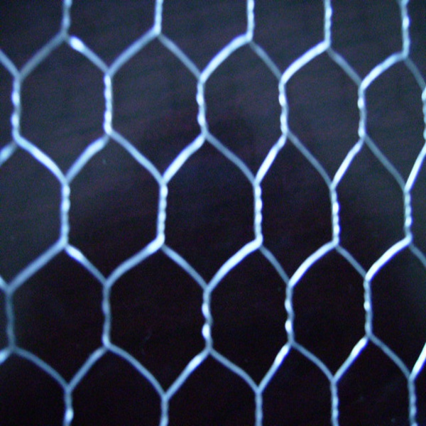 Hexagonal Wire Netting