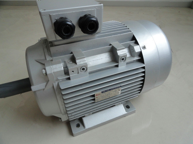CE Approved Electric Motor