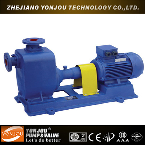 Zw Series Self Priming Centrifugal Water Pump (ZW)