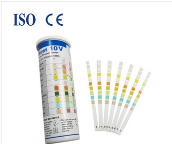 10 Parameters Urine Test Strip