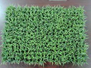 Artificial Plants and Flowers of Artificial Grass Hs-Grass21