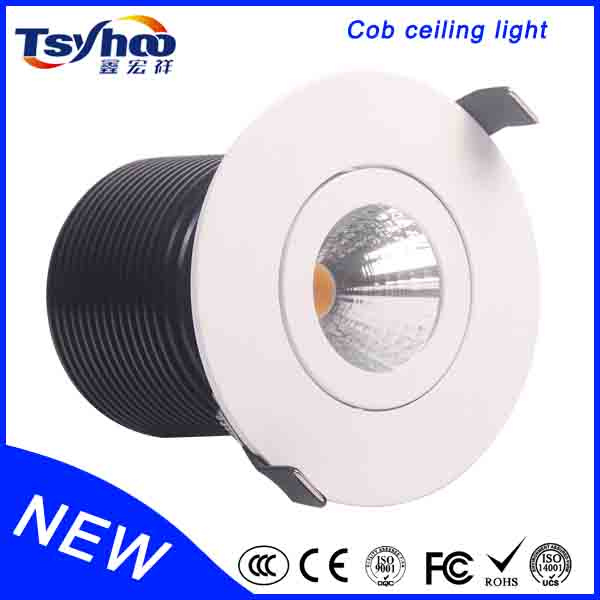 High Power 12W Round Ceiling LED Light