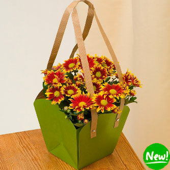 New Paper Gift Bag with Paper Handle/Waterproof Bag for Flower/Plants