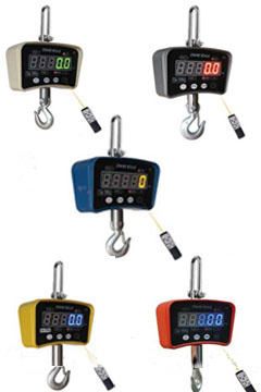 Crane Scale